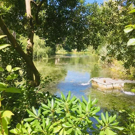 Blue Lagoon * سيكس-فور-لو-بلاج